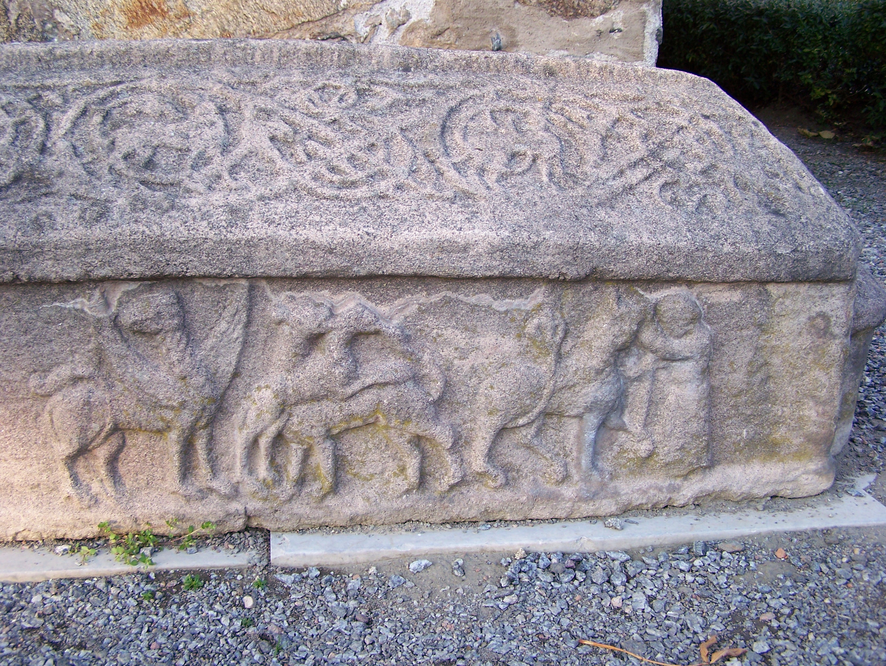 100_9244.JPG