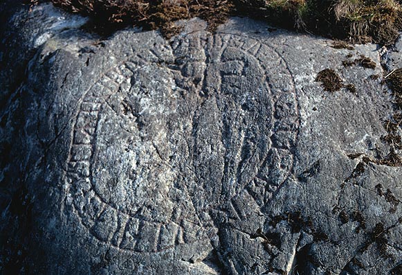 Sö300-hudinge.jpg